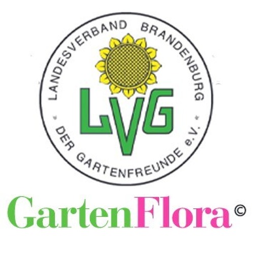 Verbandsinformationen Brandenburger GartenFlora 07/2024    