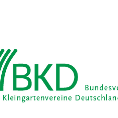 BKD informiert 08/2024