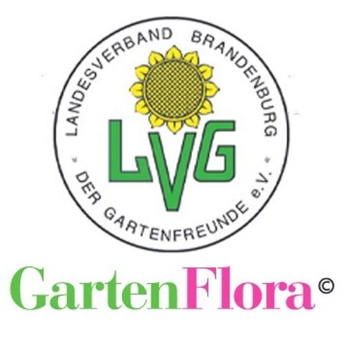 Verbandsinformationen Brandenburger GartenFlora 09/2024