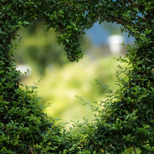 Veranstaltungsreihe Du und Dein Garten im Naturpark mit dem Thema: „Natur im Garten: Wohlbefinden für den Garten mit biologischen Methoden“